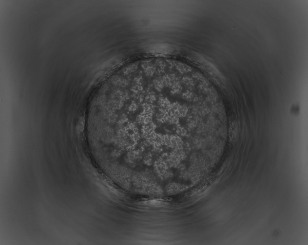 X0000091190365200708301242