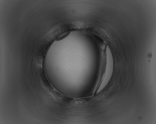 X0000091190368200708301242