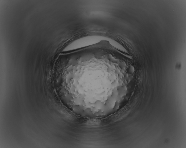 X0000091190369200708301242