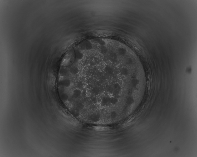 X0000091190371200708301242