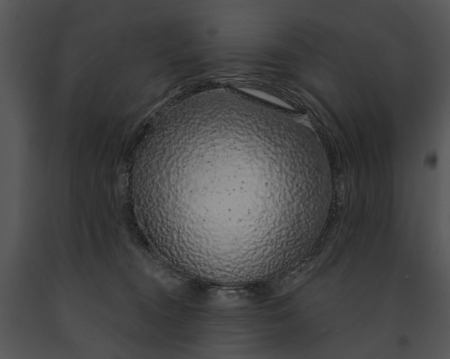 X0000091190372200708301242