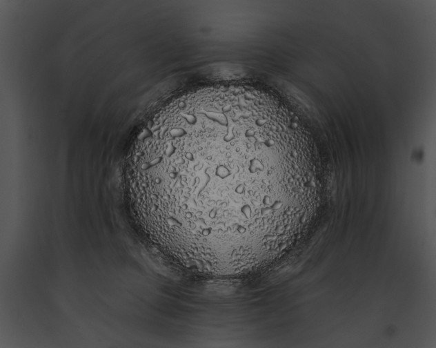 X0000091190373200708301242