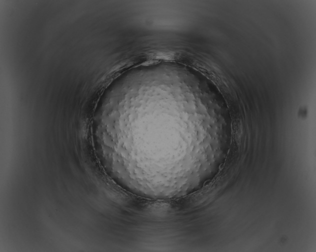 X0000091190374200708301242