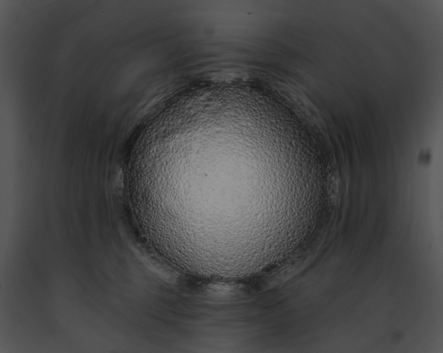 X0000091190375200708301242