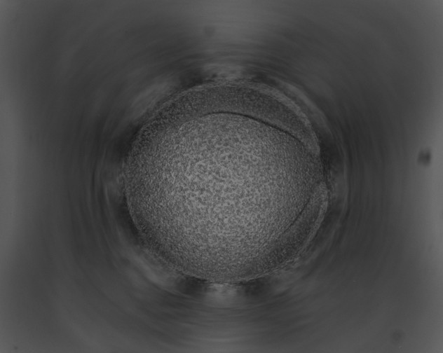 X0000091190376200708301242