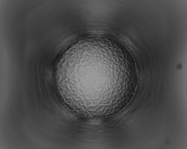 X0000091190377200708301242