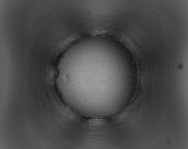 X0000091190378200708301242