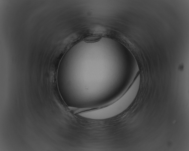 X0000091190379200708301242