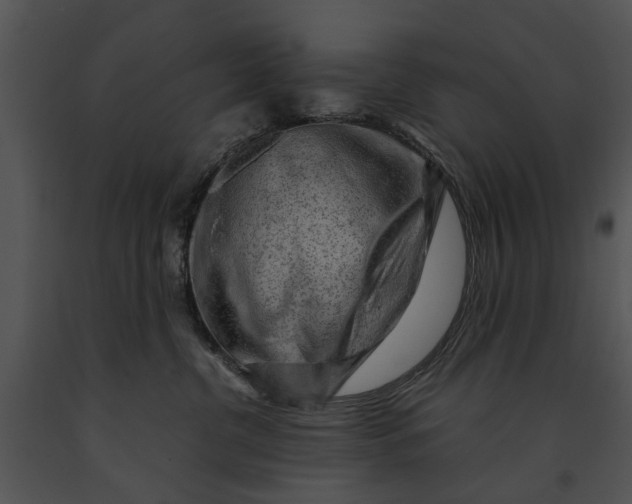 X0000091190380200708301242