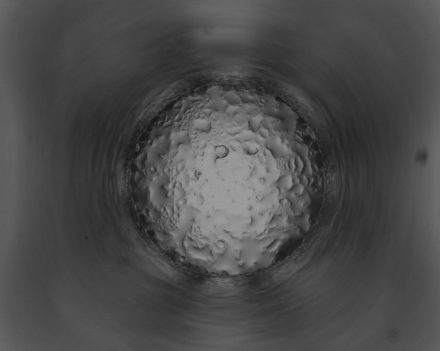 X0000091190381200708301242