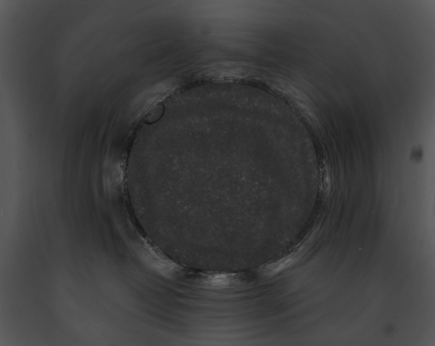 X0000091190382200708301242