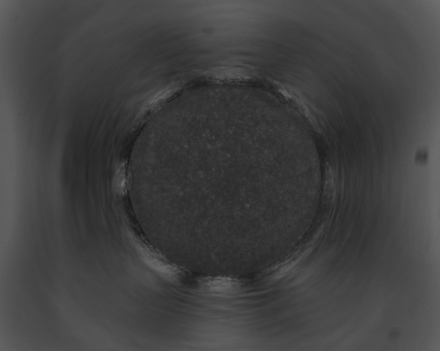 X0000091190383200708301242