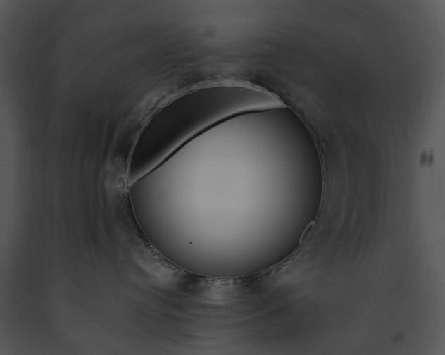 X0000091190384200708301242