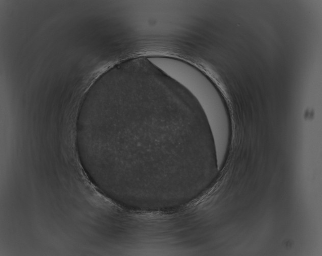 X0000091190385200708301242