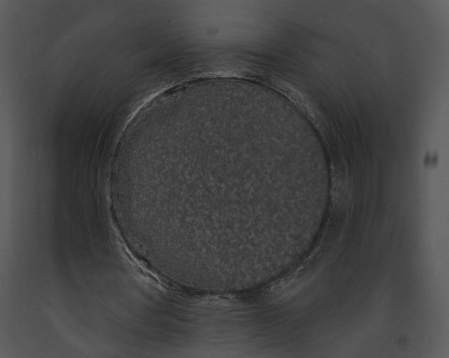 X0000091190386200708301242