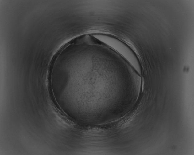 X0000091190387200708301242