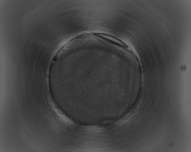 X0000091190389200708301242