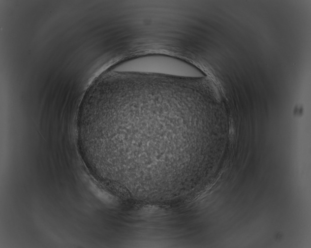 X0000091190390200708301242