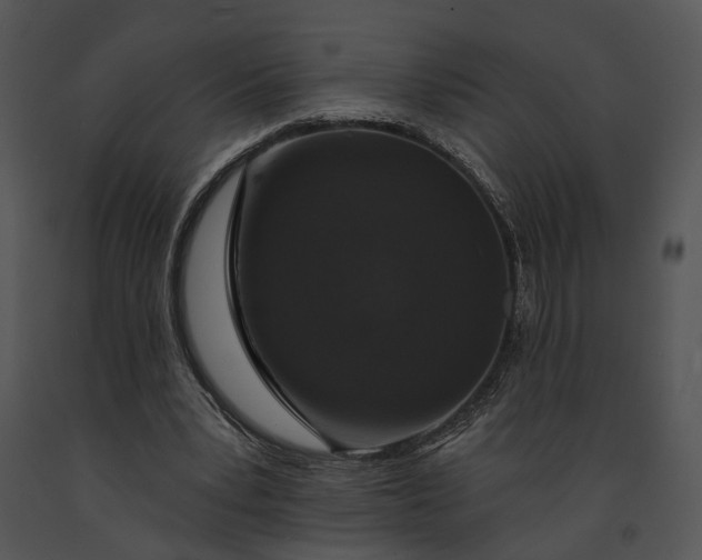 X0000091190391200708301242