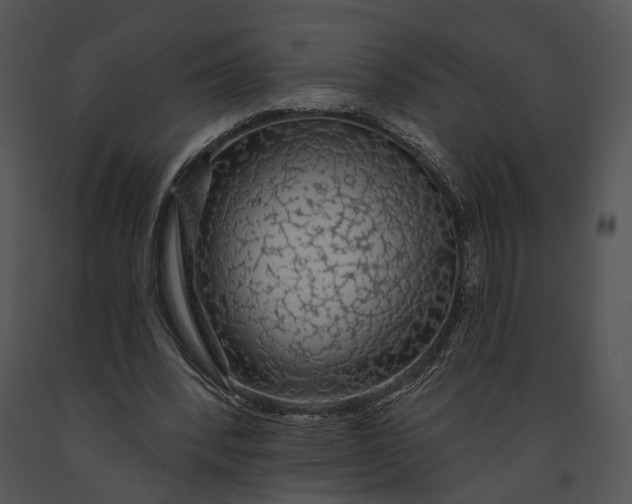 X0000091190392200708301242