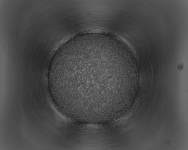 X0000091190394200708301241