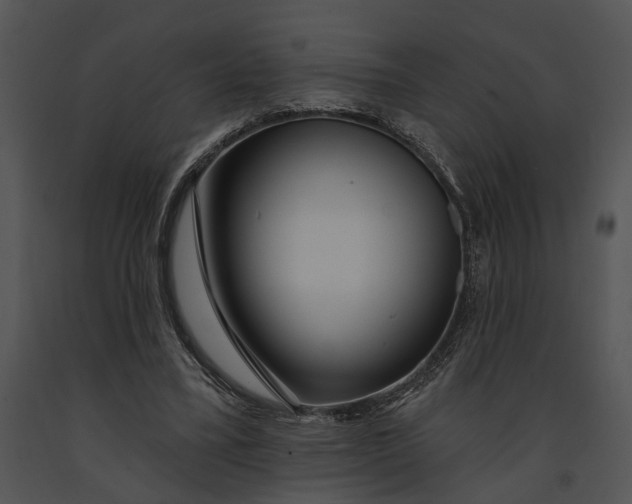 X0000091190395200708301241