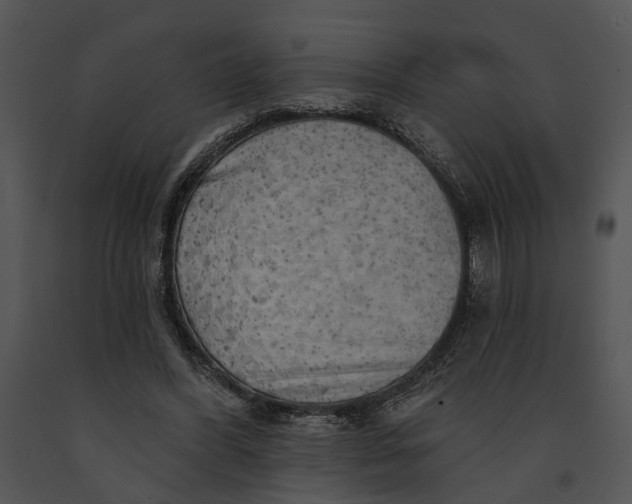 X0000091190396200708301241