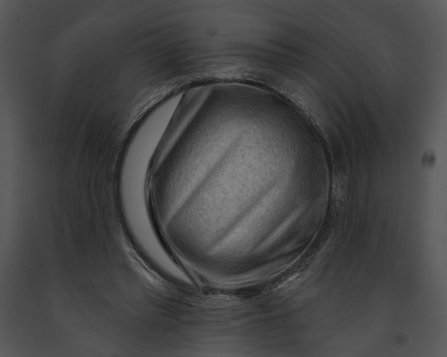 X0000091190397200708301241