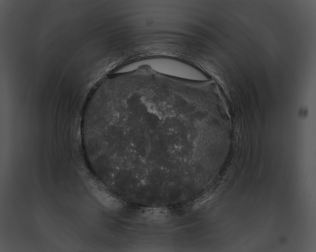 X0000091190398200708301241