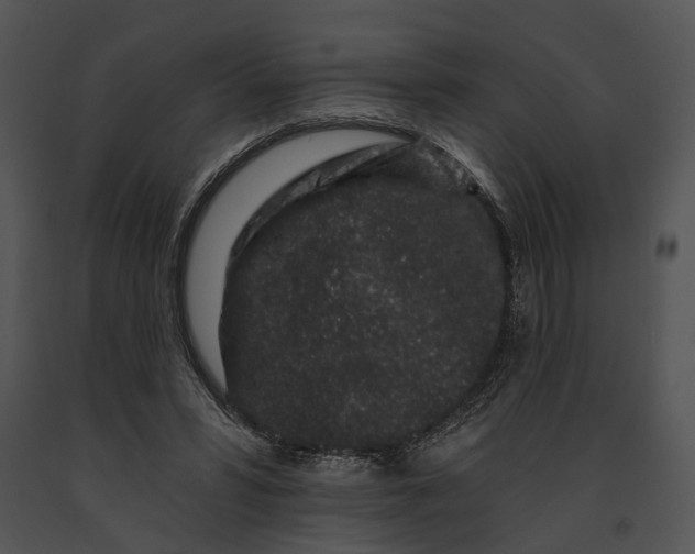 X0000091190399200708301241