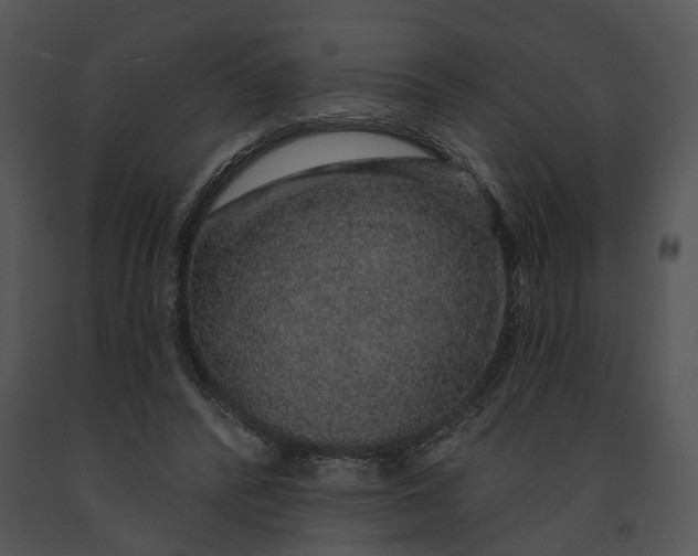 X0000091190400200708301241