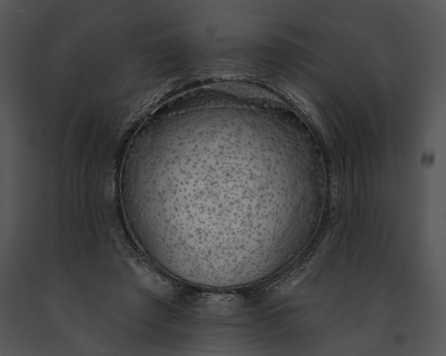 X0000091190401200708301241