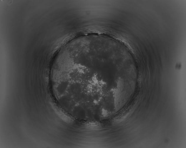 X0000091190402200708301241