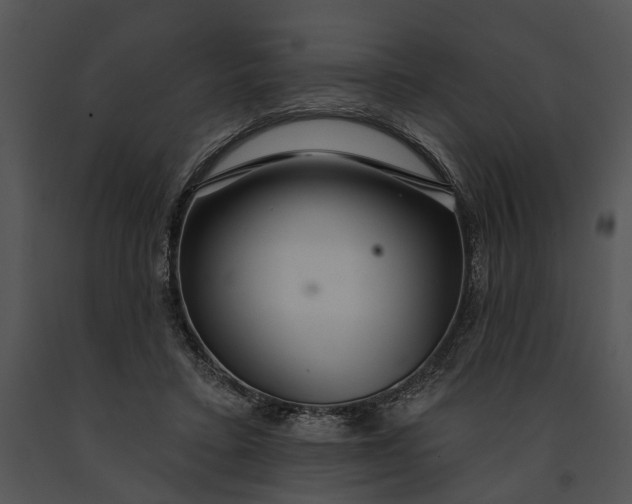 X0000091190403200708301241