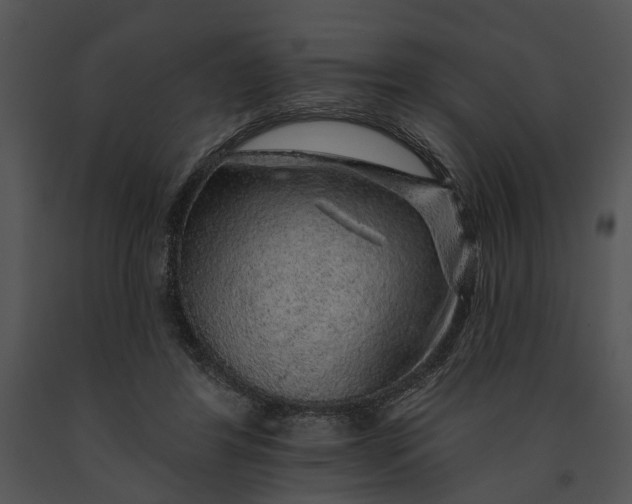 X0000091190404200708301241