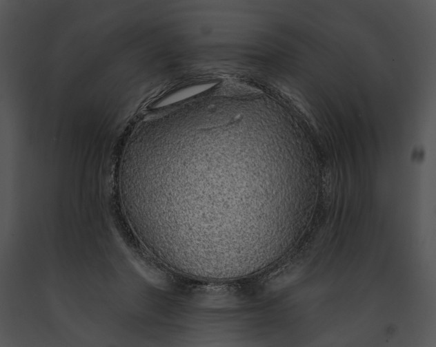 X0000091190406200708301241