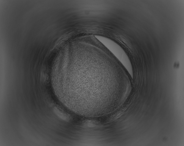 X0000091190408200708301241