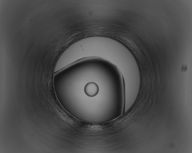 X0000091190409200708301241