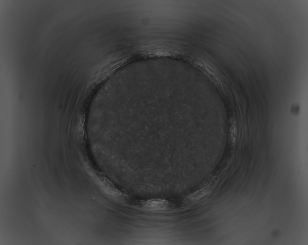 X0000091190410200708301241