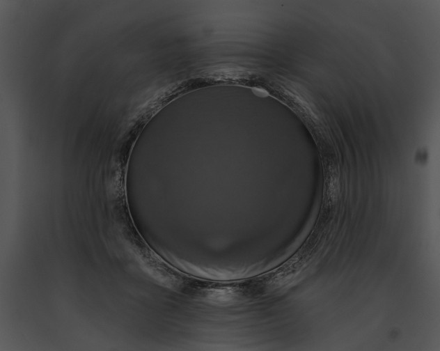 X0000091190411200708301241