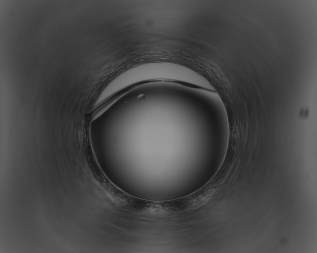 X0000091190416200708301241