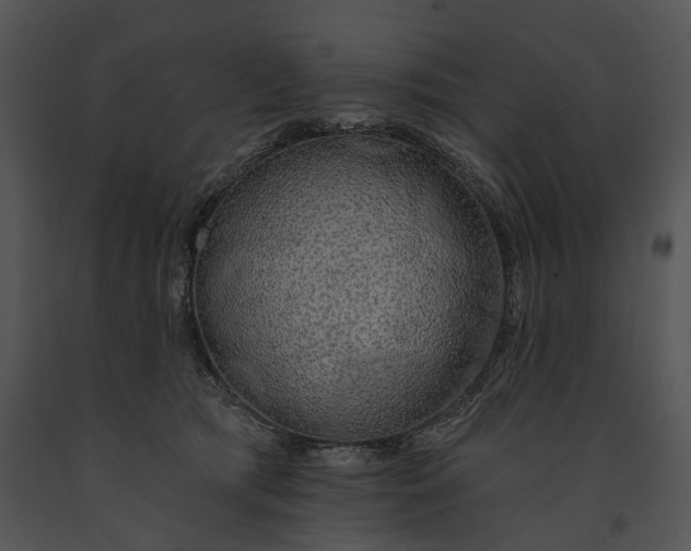 X0000091190417200708301241