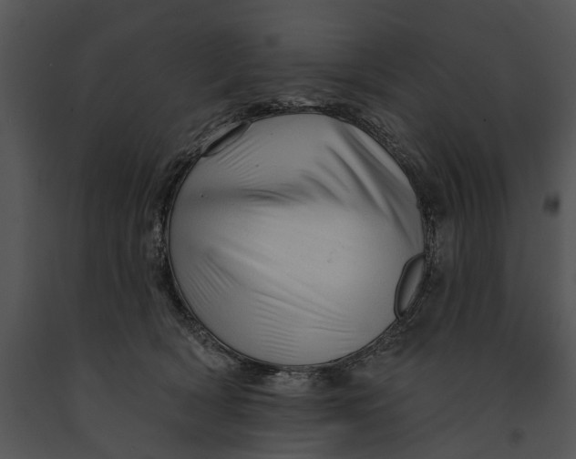 X0000091190418200708301241