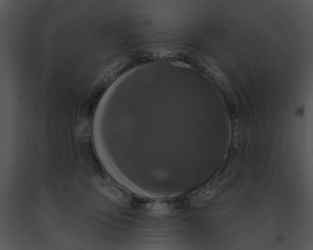 X0000091190419200708301241