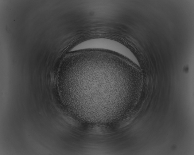 X0000091190420200708301241