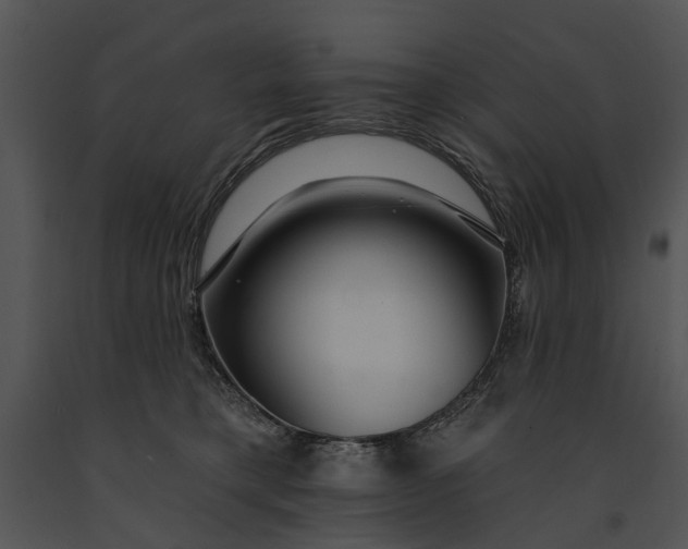 X0000091190421200708301241