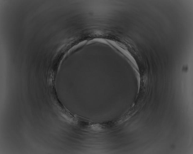 X0000091190423200708301241