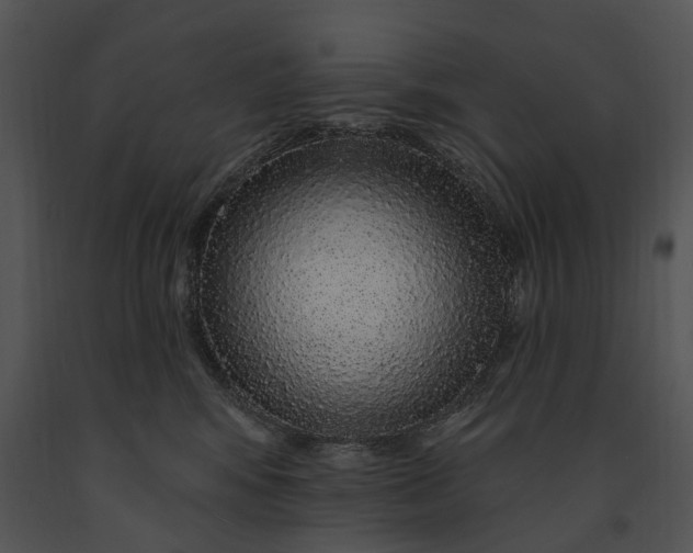 X0000091190424200708301241