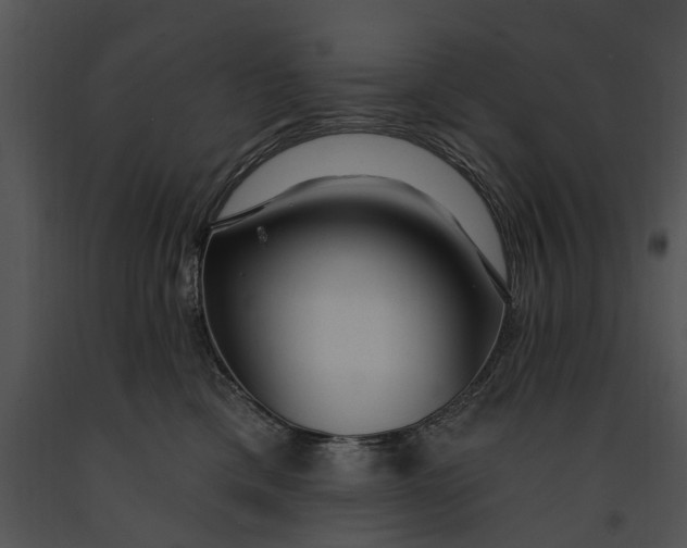 X0000091190425200708301241