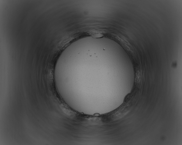 X0000091190426200708301241